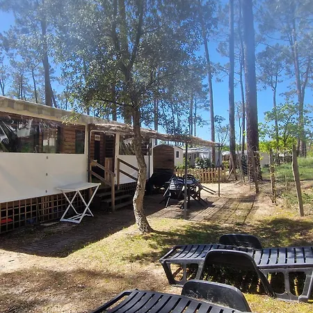 Campsite Les Dunes De Contis Saint-Julien-en-Born